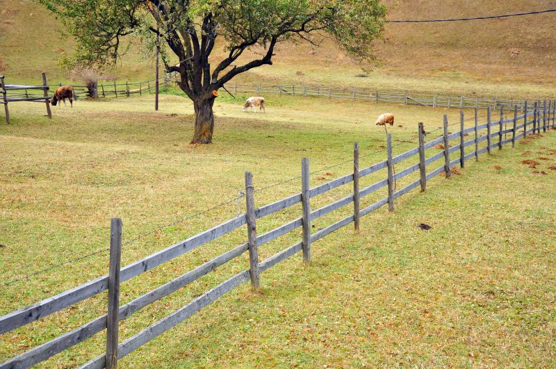 Farm Fences