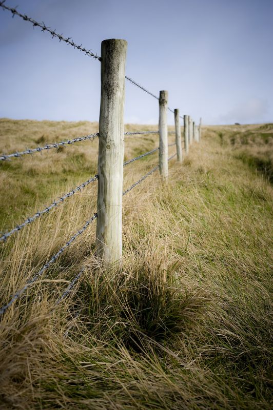 Fence detail
